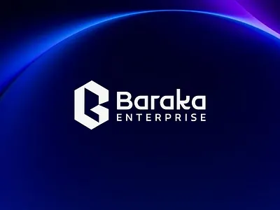 B Logo! air ticket booking brand branding creative design enterprise graphic design illustration logo logodesign logomaker money transfer multi service company ui ux visa processing