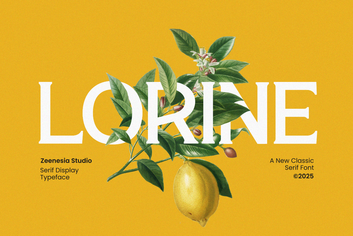 Lorine Font branding font display font elegant font logo font magazine font poster font serif font social media font