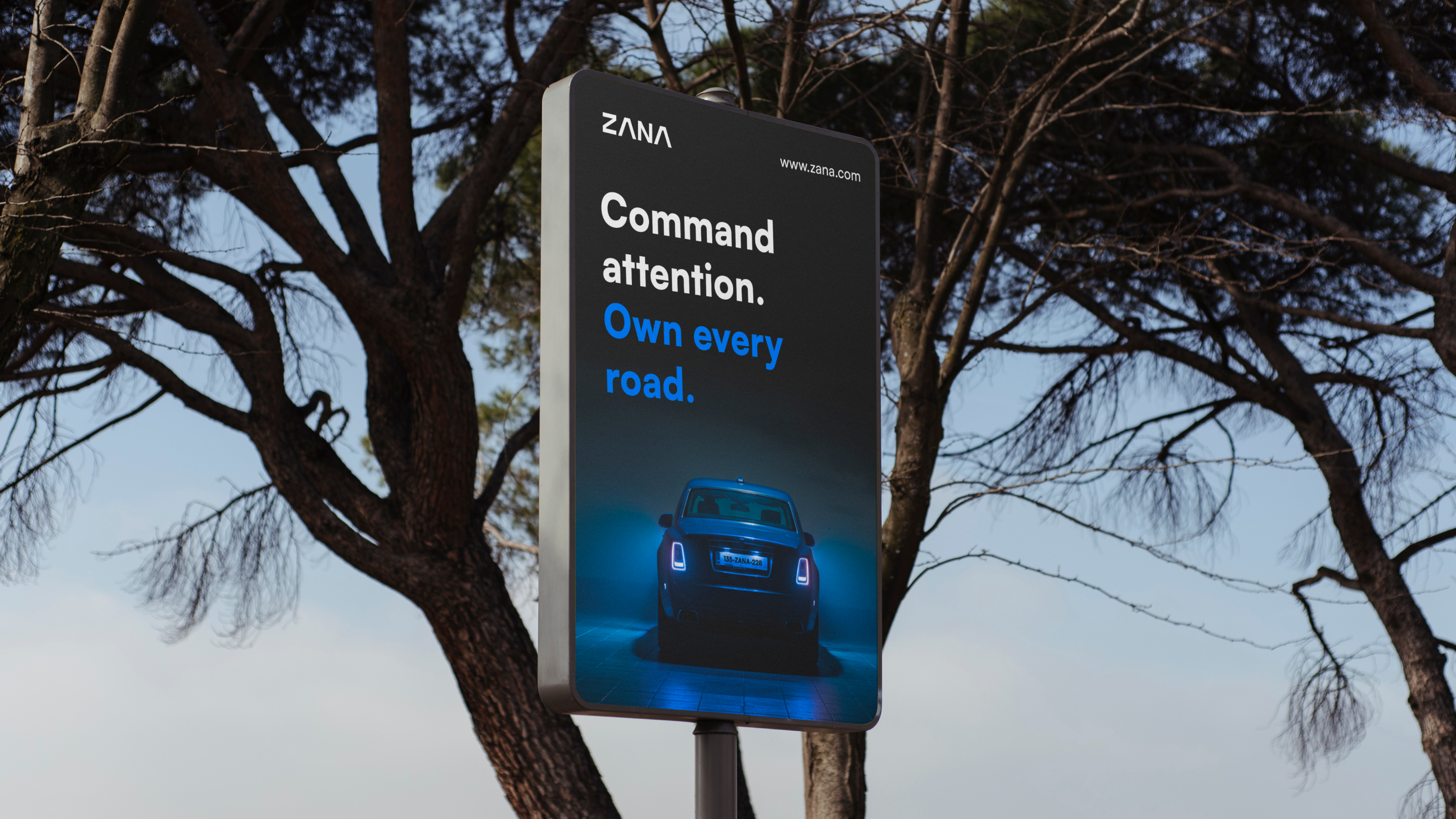 Zana Brand Identity Design branding graphic design logo motion graphics