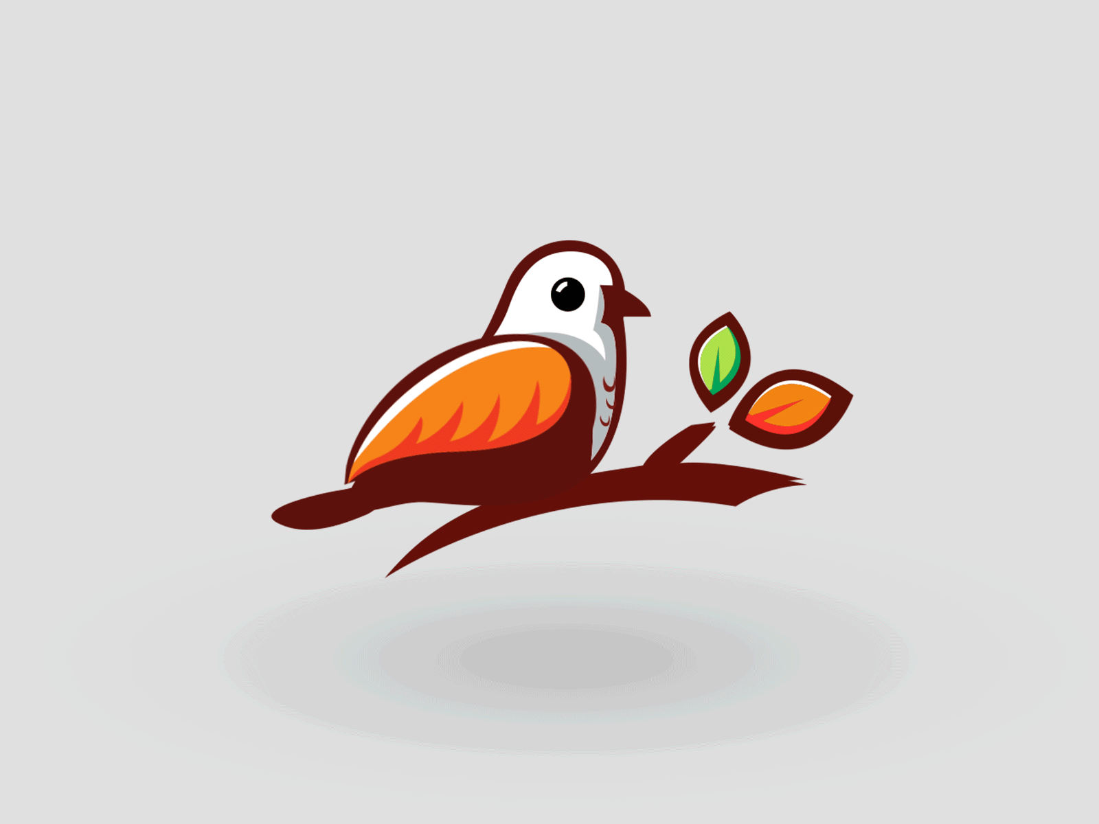 Bird Character animation 2d animation aftereffect animation character animation lottie animation motion graphics