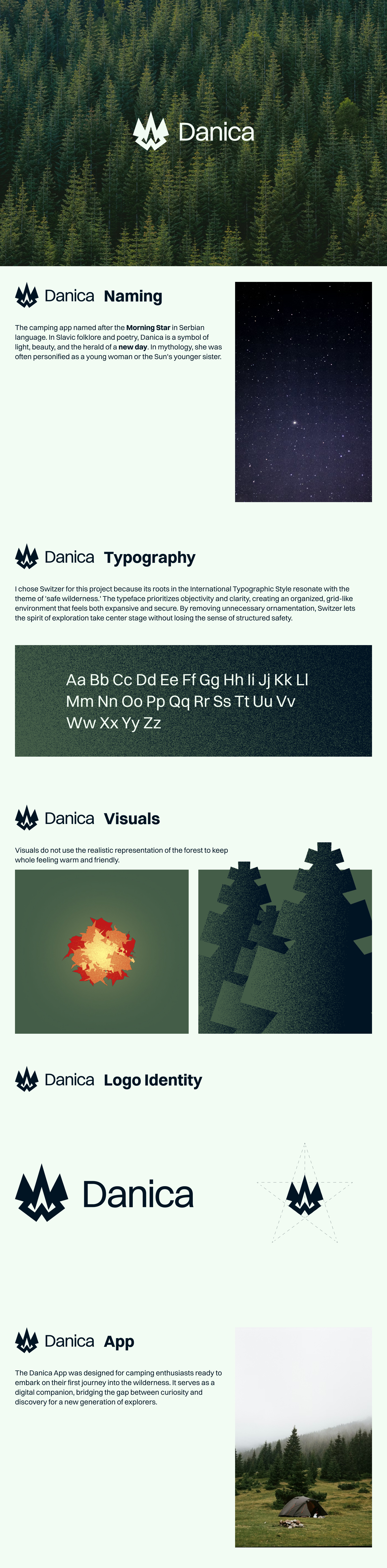 Danica | Branding Project app brand branding design graphic design icon illustration logo typography ui ux vector