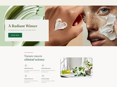 Natural Skincare Ecommerce Theme branding ecommerce skincare ui uxui