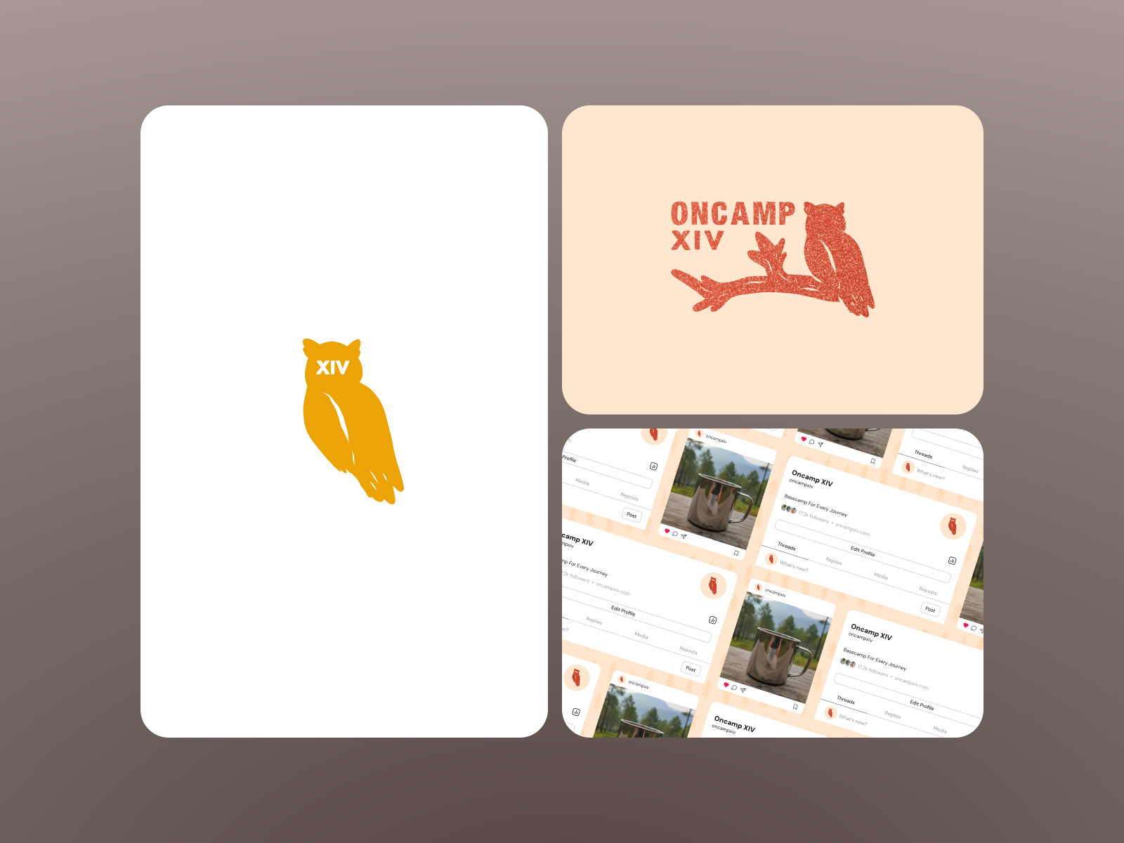 Example of Logo Design / Brand Identity