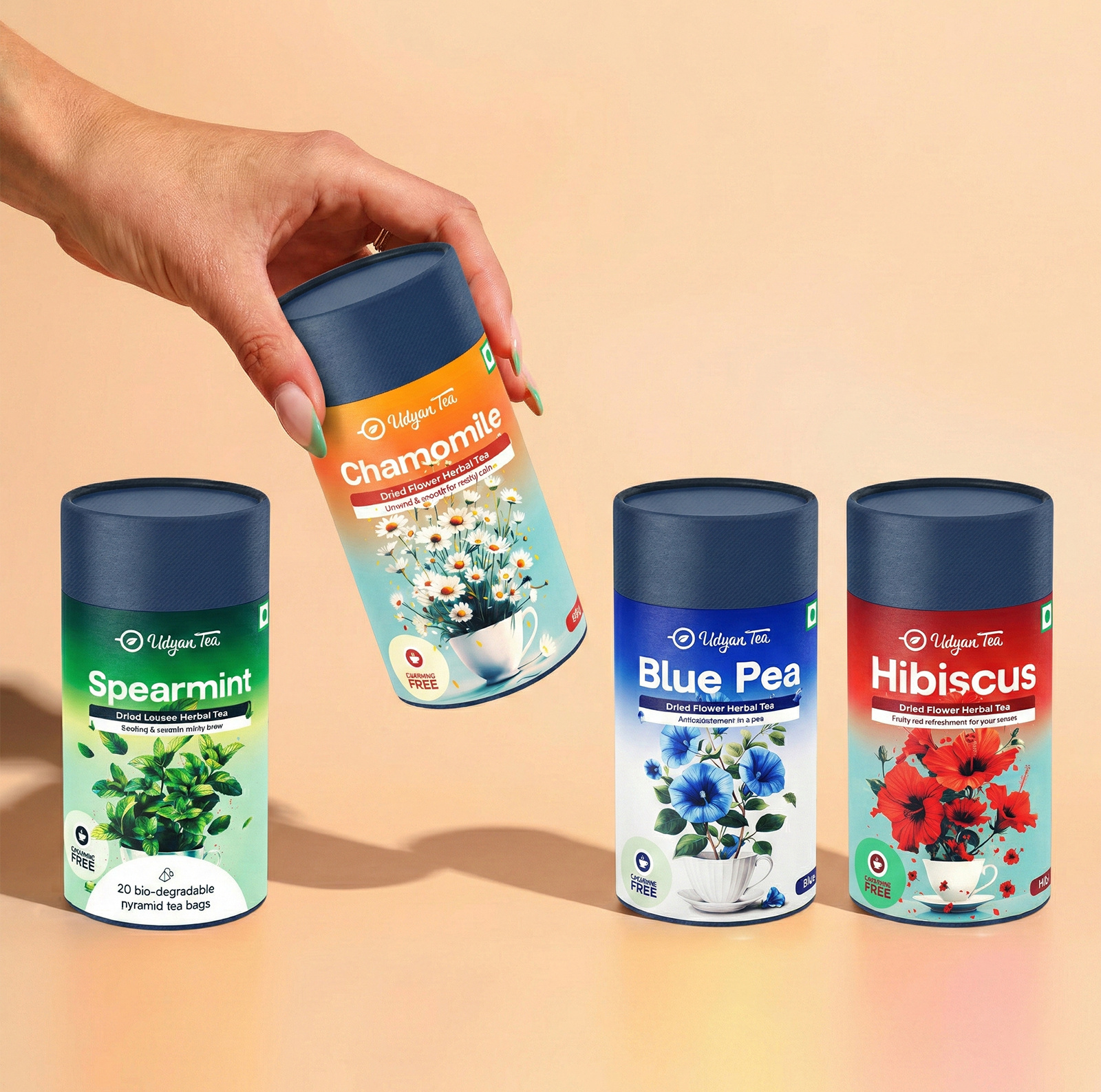 Example of Packaging Design 
