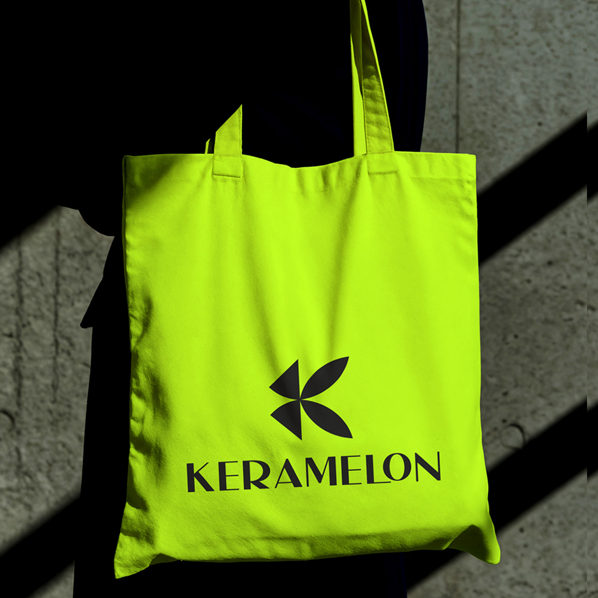 Logo with Brandmark logo with brandmark