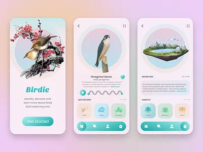 Bird discovery app 3d cartoon cartoon style concept concept design creative graphic design illustration interface minimal mobile app ui