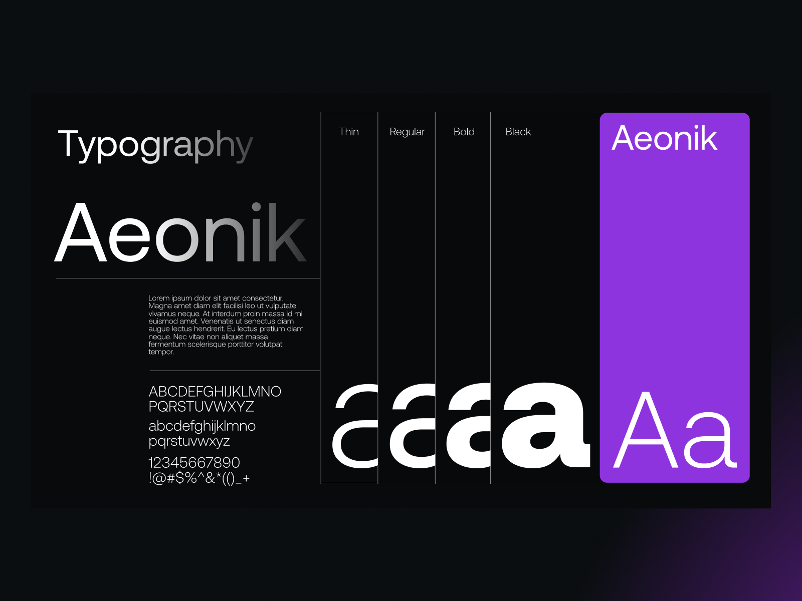 Example of Startup Design Partner — Monthly