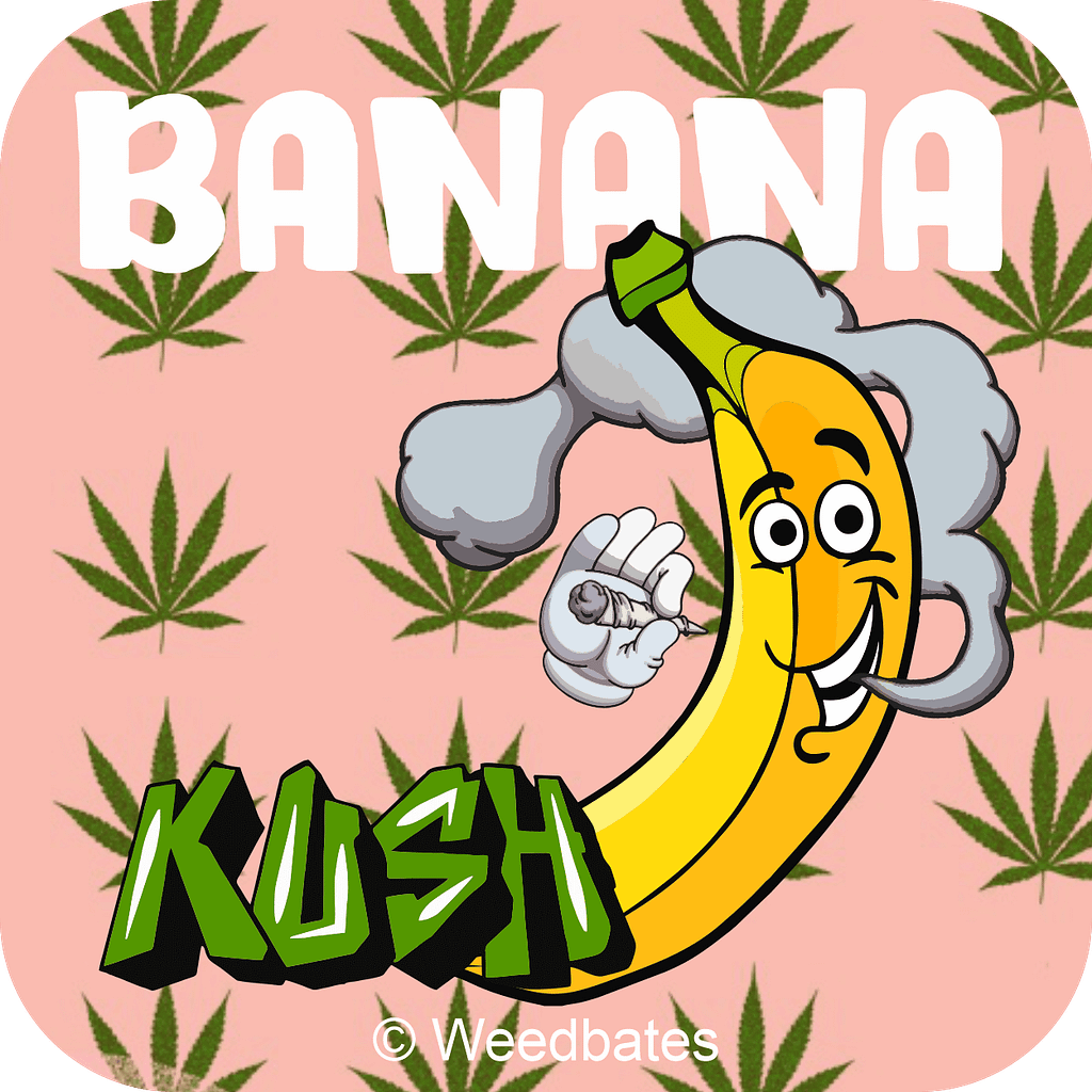 Banana Kush Strains - Weedbates by Weedbates on Dribbble