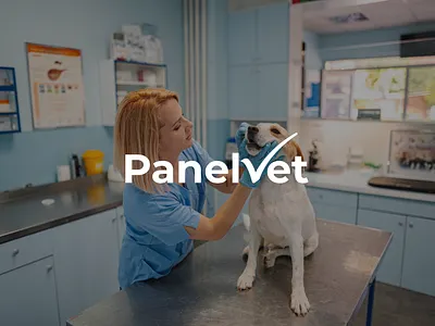 HubSpot B2B Brand Identity for Veterinary Tech Precision b2b branddesign branding clean colorpalette corporateidentity designsystem graphicdesign healthtech hubspot iconography identity medtech minimalist modern typography ui ux vector visualidentity