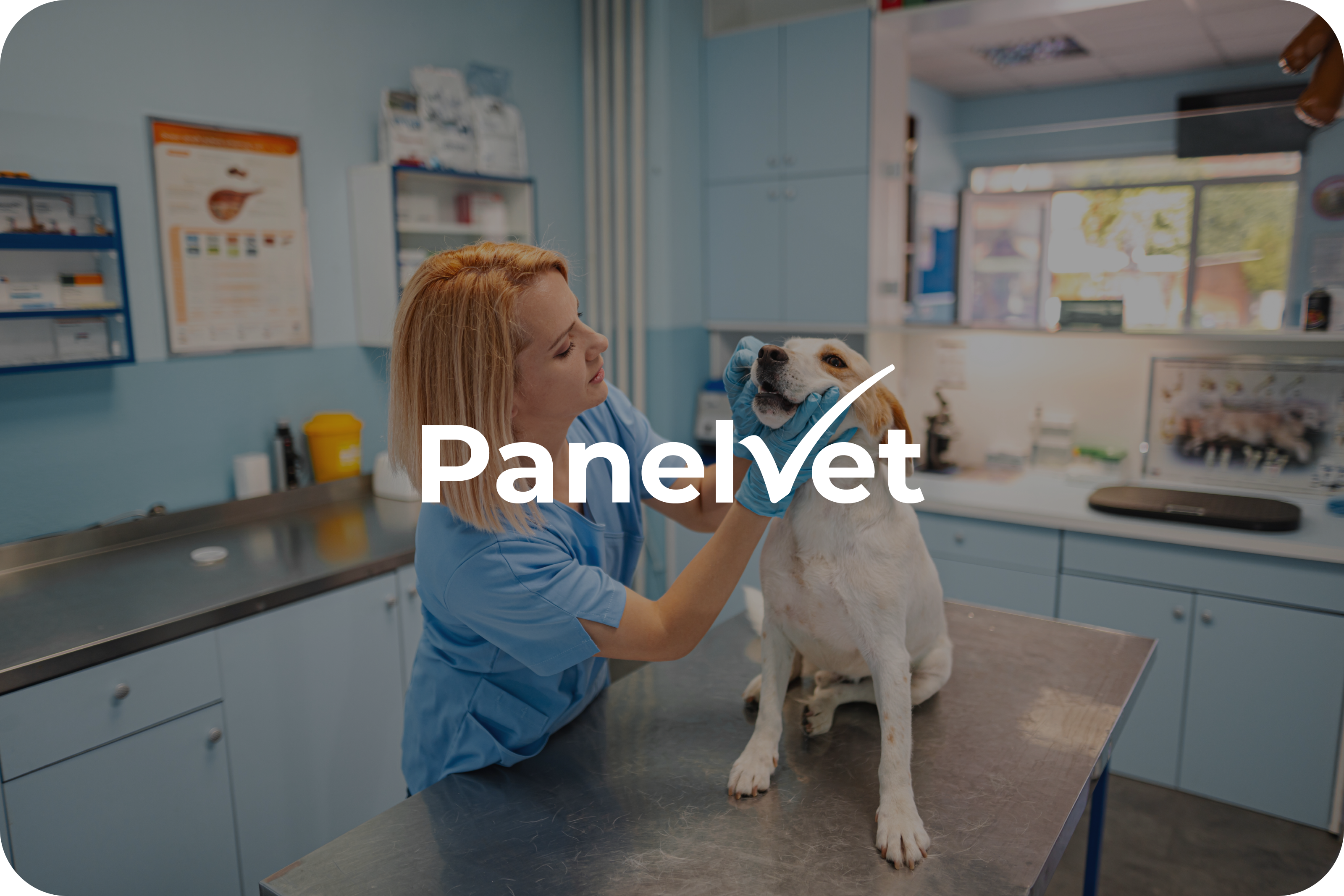 Example of HubSpot B2B Brand Identity for Veterinary Tech Precision