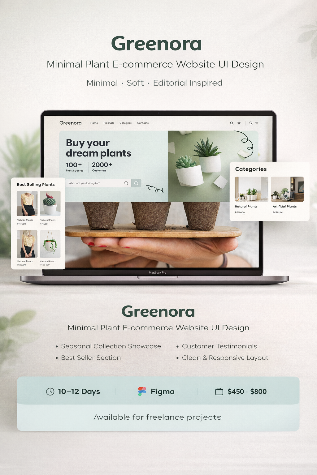 Example of Modern Plant E Commerce Website 