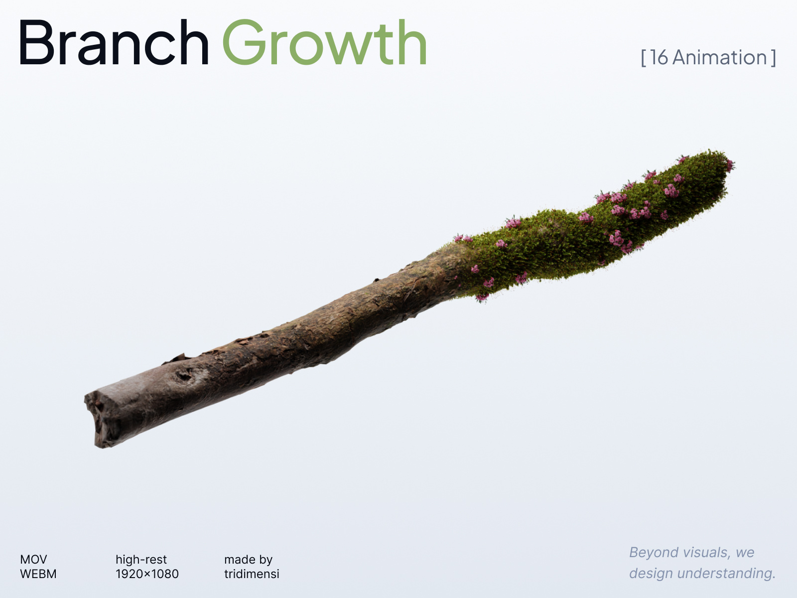 Branch Growth 3D Animation 3d 3d animation abstract animation branch branding download flowers green growing growth motion design motion graphics mov nature transparent background tridimensi webm