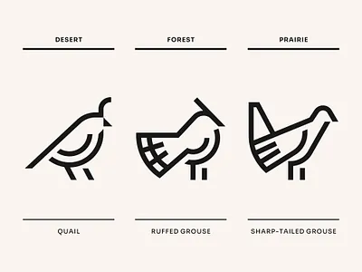 Matel Family > Birds Logo Set animal bird branding desert family forest grouse hunt hunters hunting logo monoline nature prairie preservation quail symbol wild