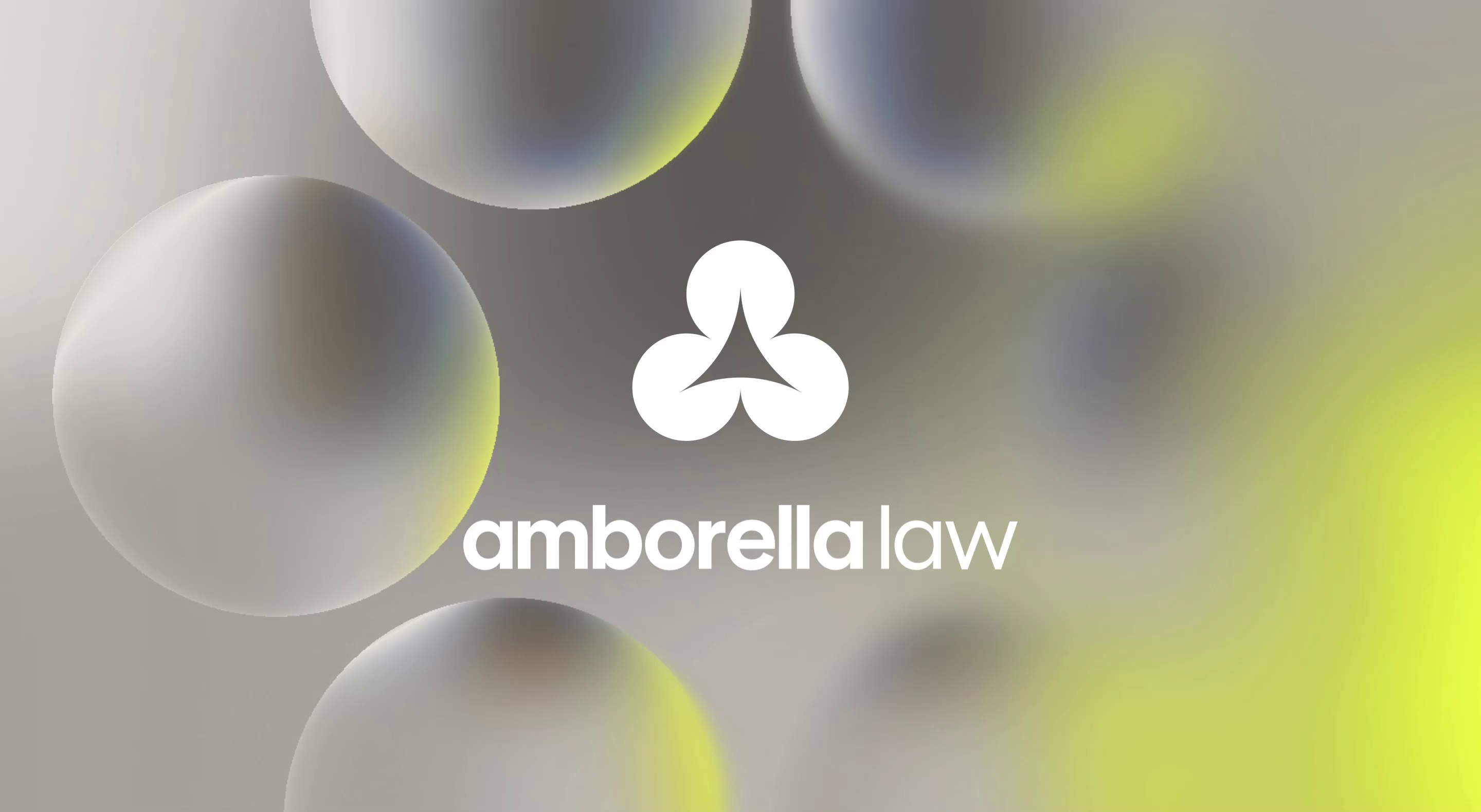 Example of Amborella Law Brand Identity & Web Design