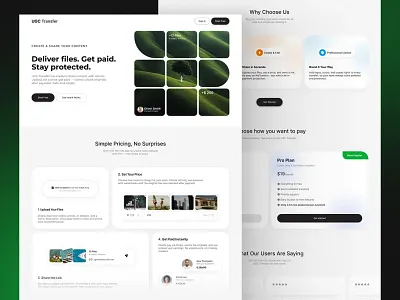 Landing Page for a Creator Content & Payment Tool concept content creators creator economy digital products fintech landing landing page marketing website monetization payments ui uiux ux web design webdesign website