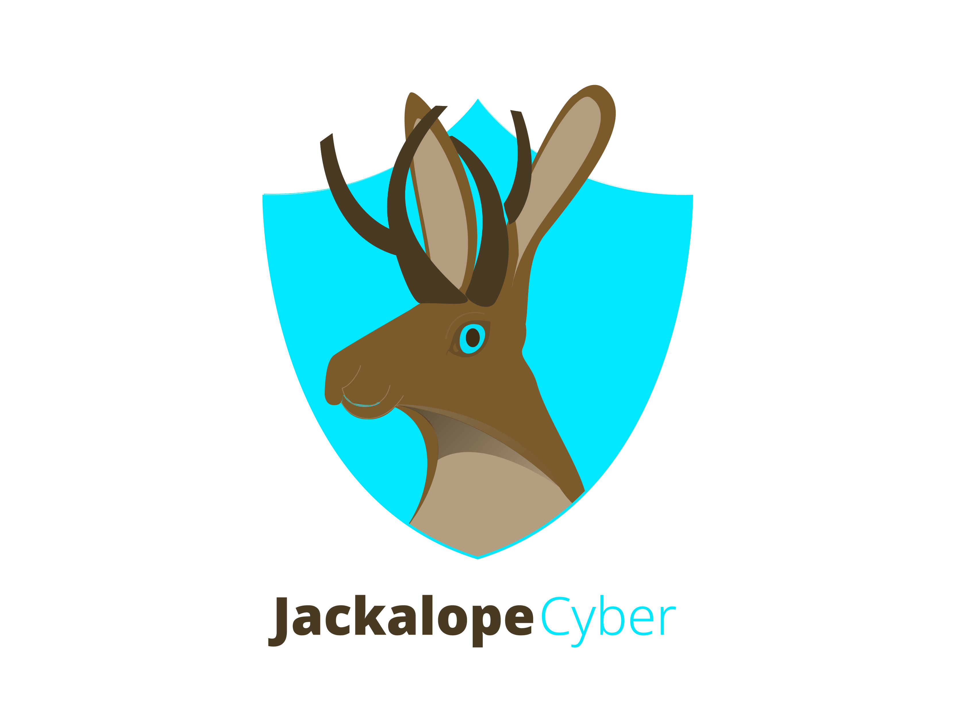 Logo Mascot. Visual Identity Design branding graphic design illustration logo motion graphics