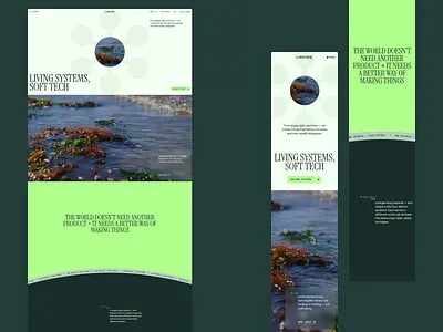 Website Design for Biomaterial Studio bio biomaterial corporate home page madeonwebflow minimal services studio tech technology ui ux web design web page webflow website