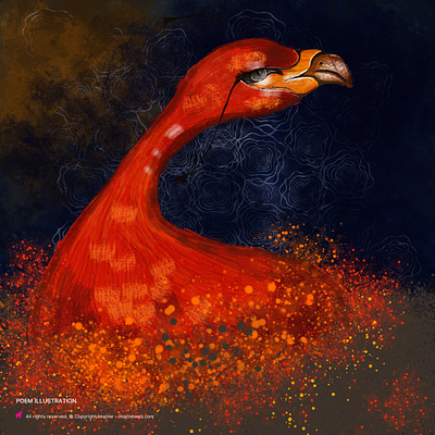 Phoenix - Poetry illustration book illustration design illustration phoenix poetry illustration