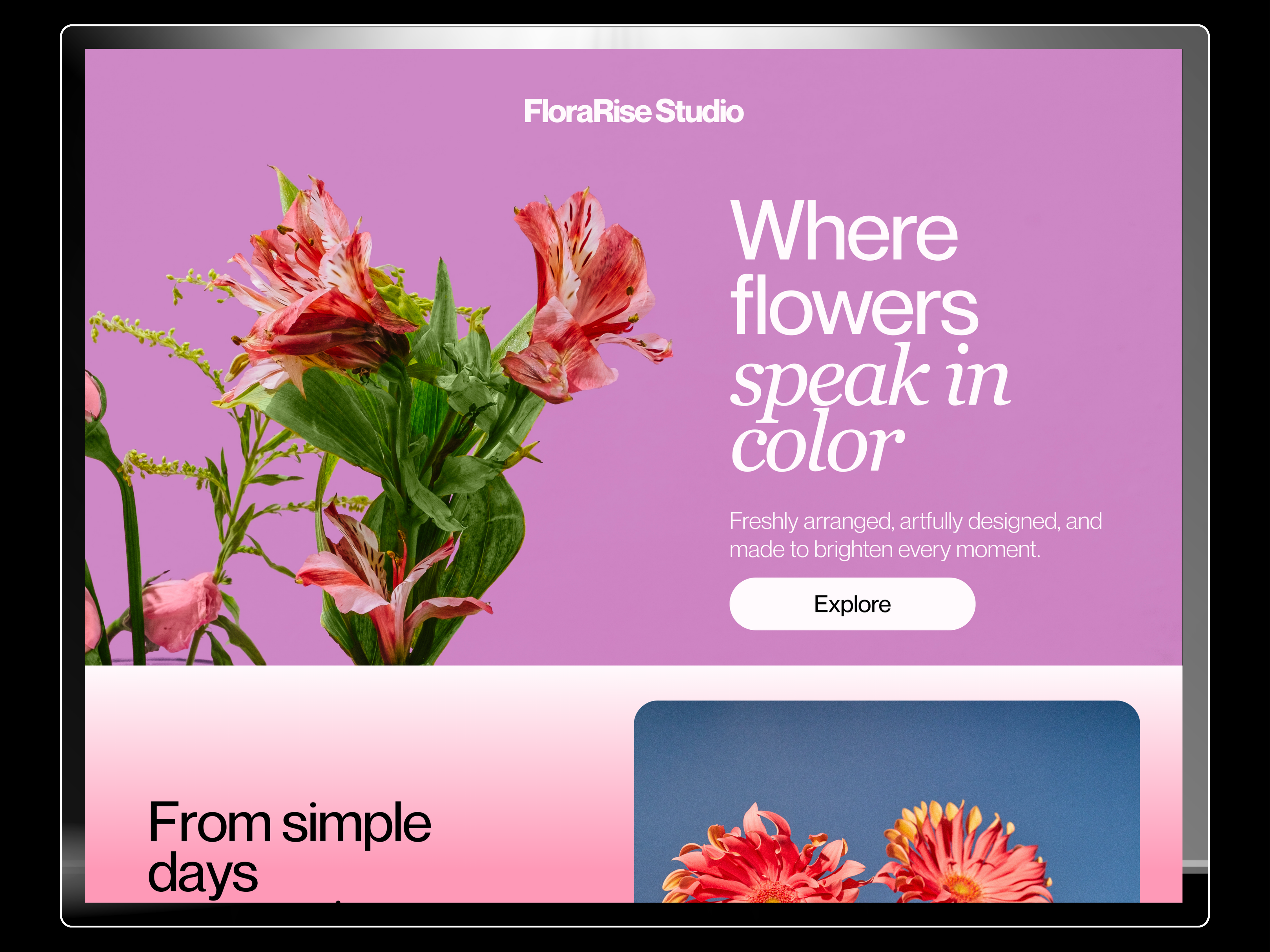 Example of Starter — Landing & One Page Website