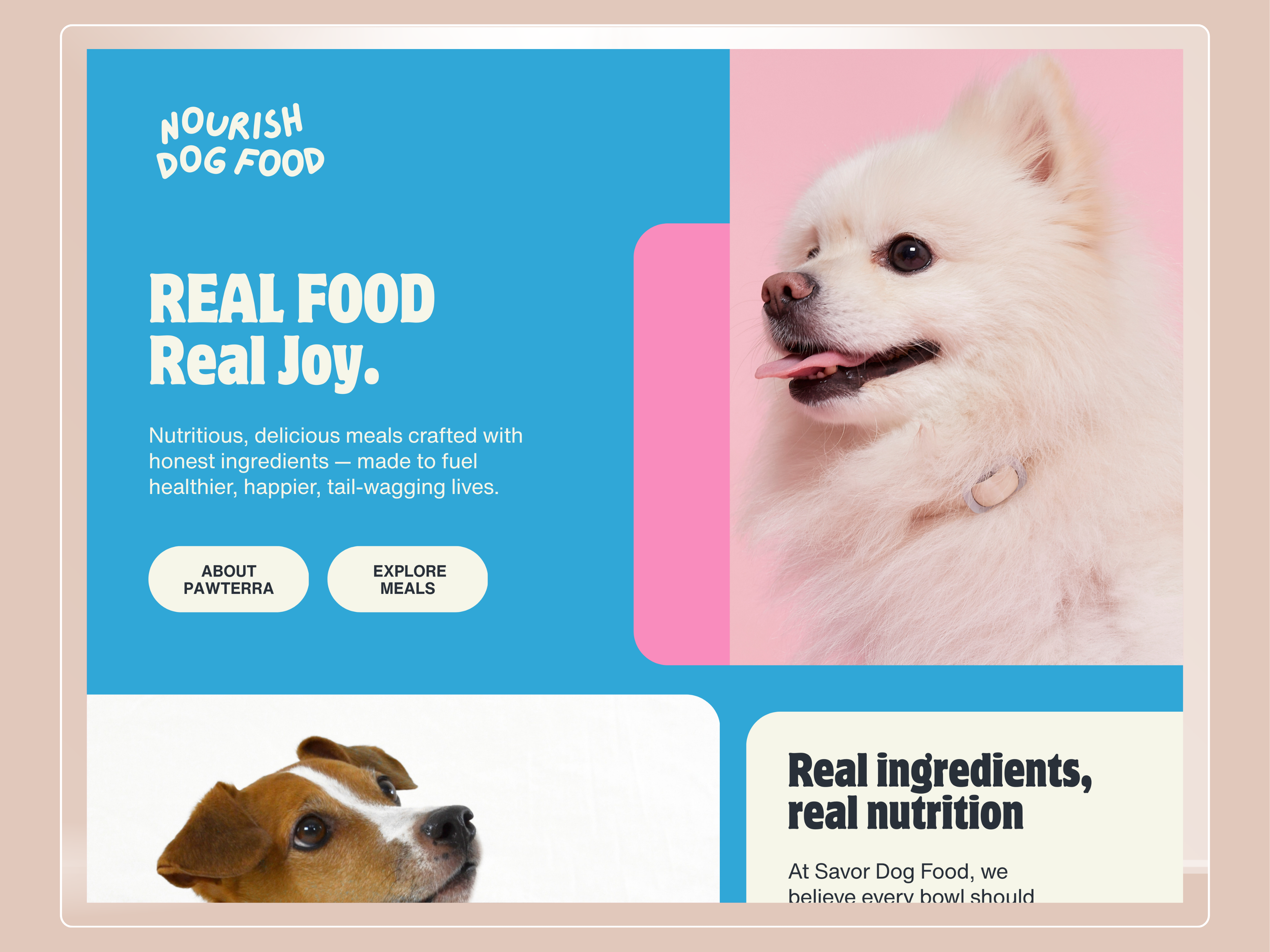 Example of Starter — Landing & One Page Website