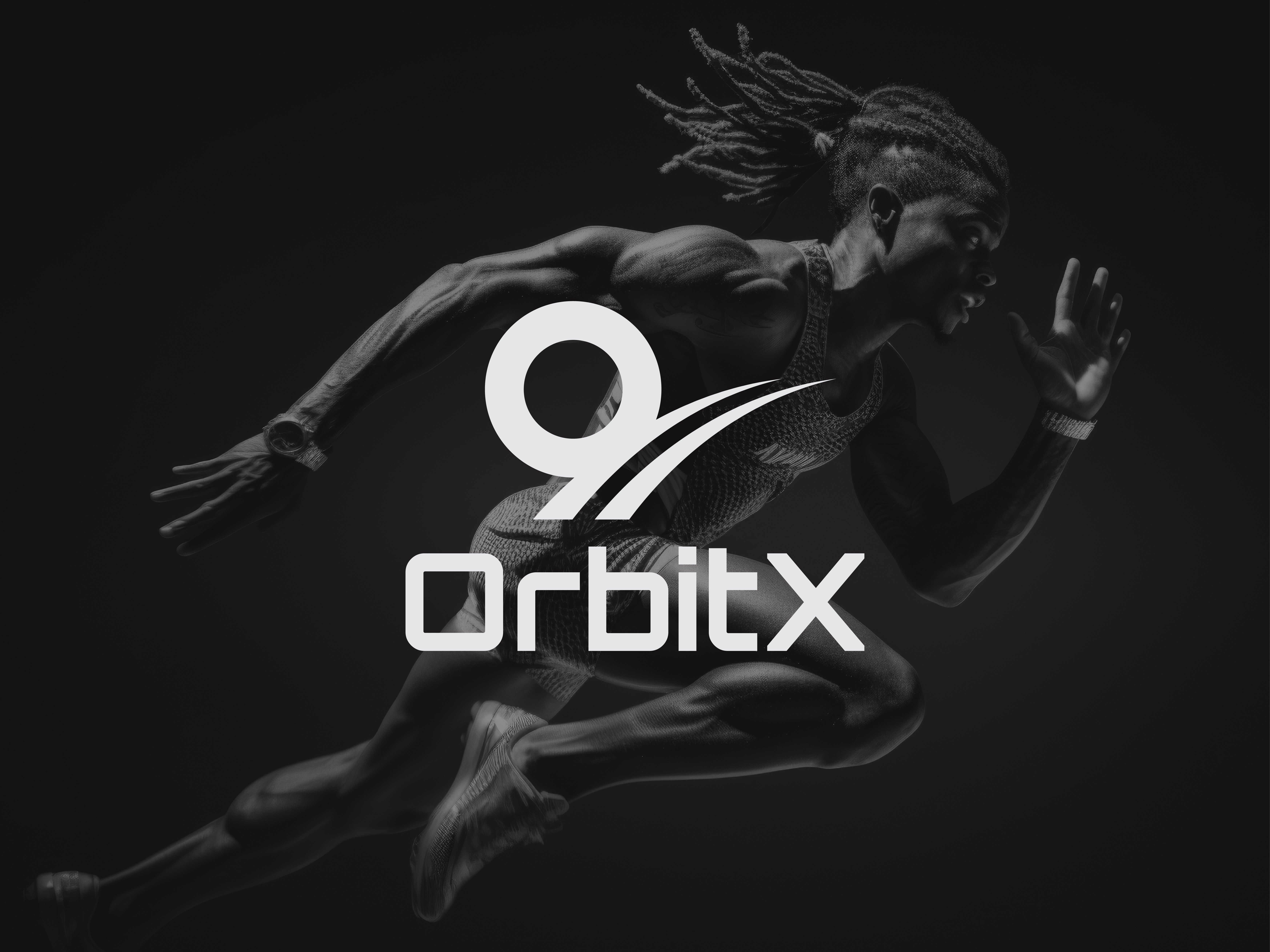 Example of Professional Logo &Brand Guideline $1999