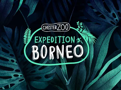 Chester Zoo | Expedition Borneo branding event design graphic design logo design zoo
