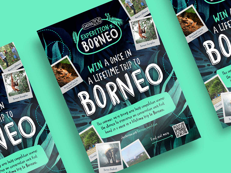 Chester Zoo Expedition Borneo by Mark 'Norm' Norman on Dribbble