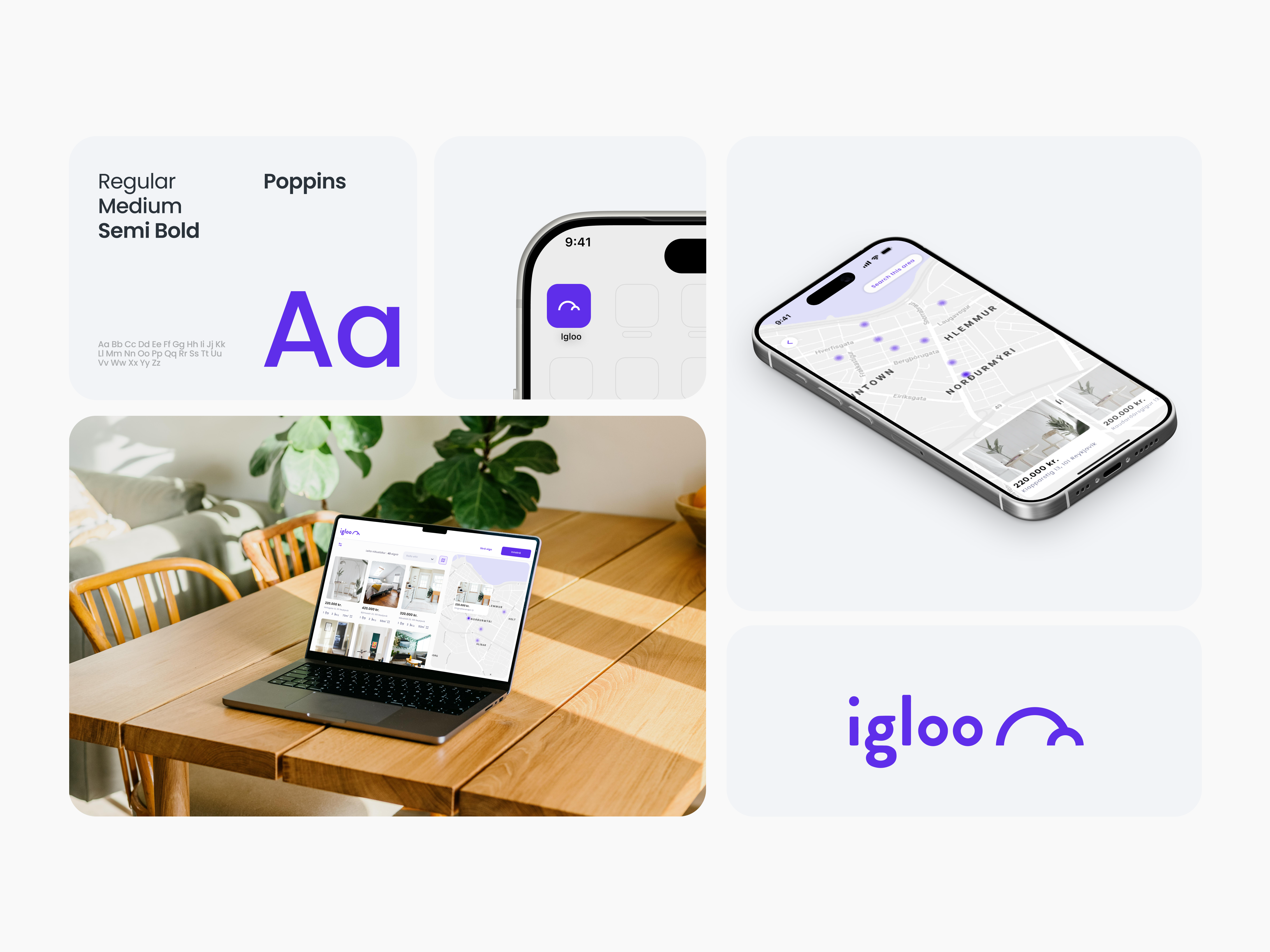 Igloo | Branding