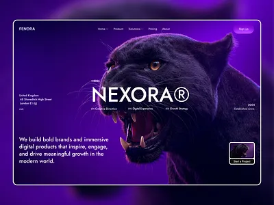 Nexora Studio – Modern Agency Website Design branding creativeagency digitalagency figma interface landingpage marketing minimal modern portfolio responsive ui uidesign uiux ux uxdesign webdesign webdeveloper webflow website