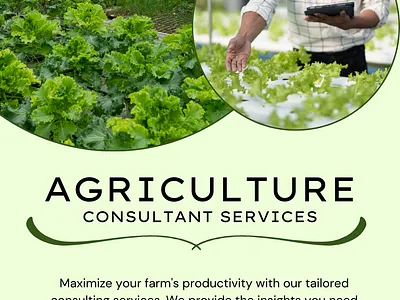 Consultancy Design inspo branding design graphic design ui web