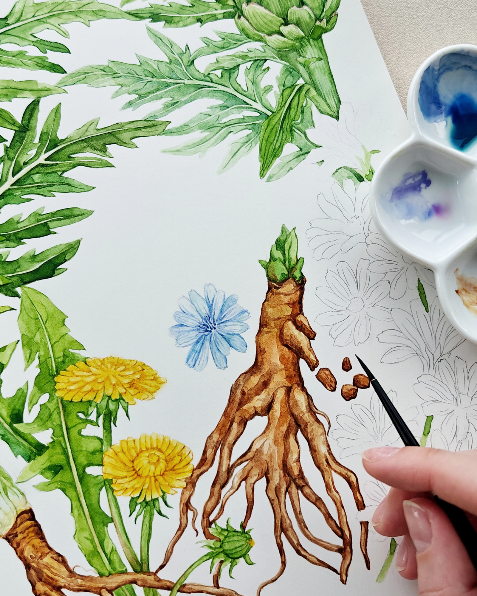 Chapter opener botanical illustration book botanical cookbook floral food art hand painted herbalism illustration ingredients medicinal herbs nature plant identification scientific illustration supplements watercolor wellness