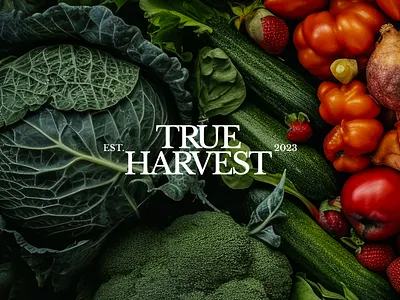 True Harvest - Organic Food Brand Visual Identity brand presentation brand system branding farm branding food brand identity food packaging design illustration illustration branding logo logo design organic branding organic food organic food brand packaging design product packaging typography logo visual design visual identity