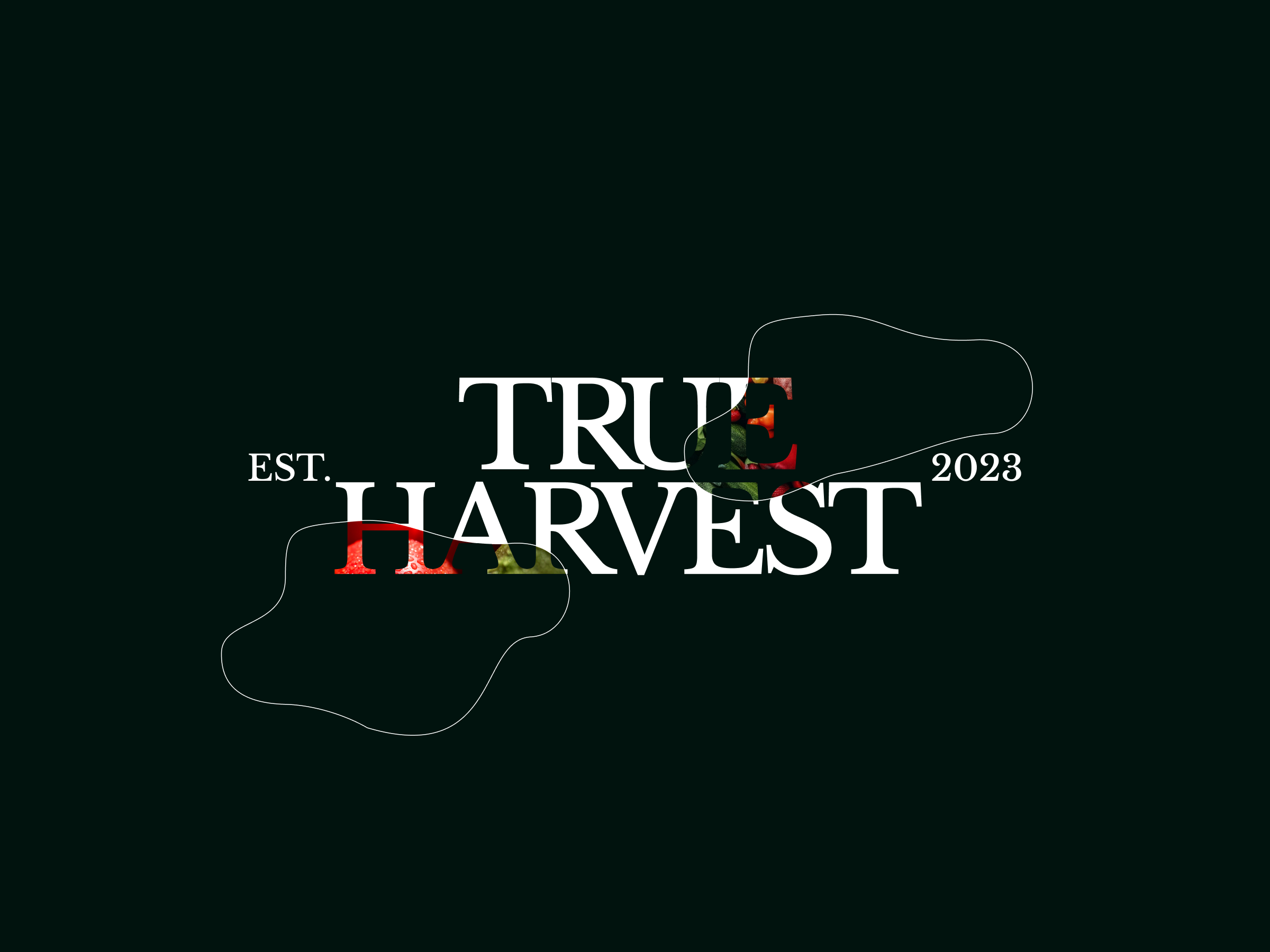 Example of Typography & Wordmark Logo Design