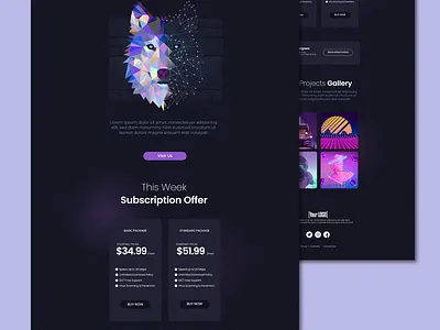 Email Newsletter Template email design email newsletter email template graphic design klaviyo mailchimp ui website design