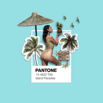 Island Paradise graphic design