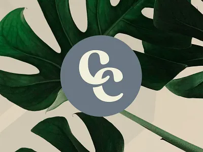 Healthcare Brand Identity & Merchandise Design apricot creative studio branding creative creative studio design graphic design illustration logo merchandise