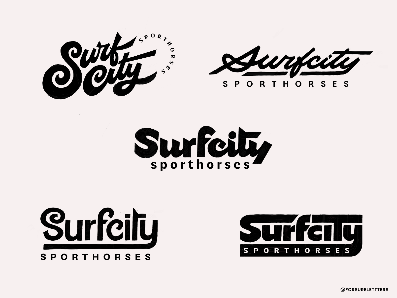 Example of Surfcity Sporthorses: logo