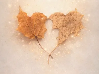 Love Grows in Every Season — Romantic Autumn Concept aesthetic autumn branding design digital art dreamy emotional fine art golden leaves love minimal motion graphics nature poster romantic soft • concept ui visual design warm tones