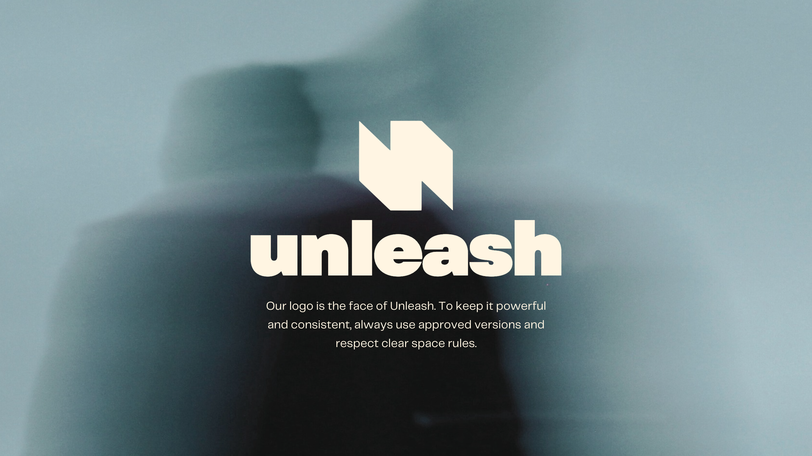 unleash Branding & Website Overhaul