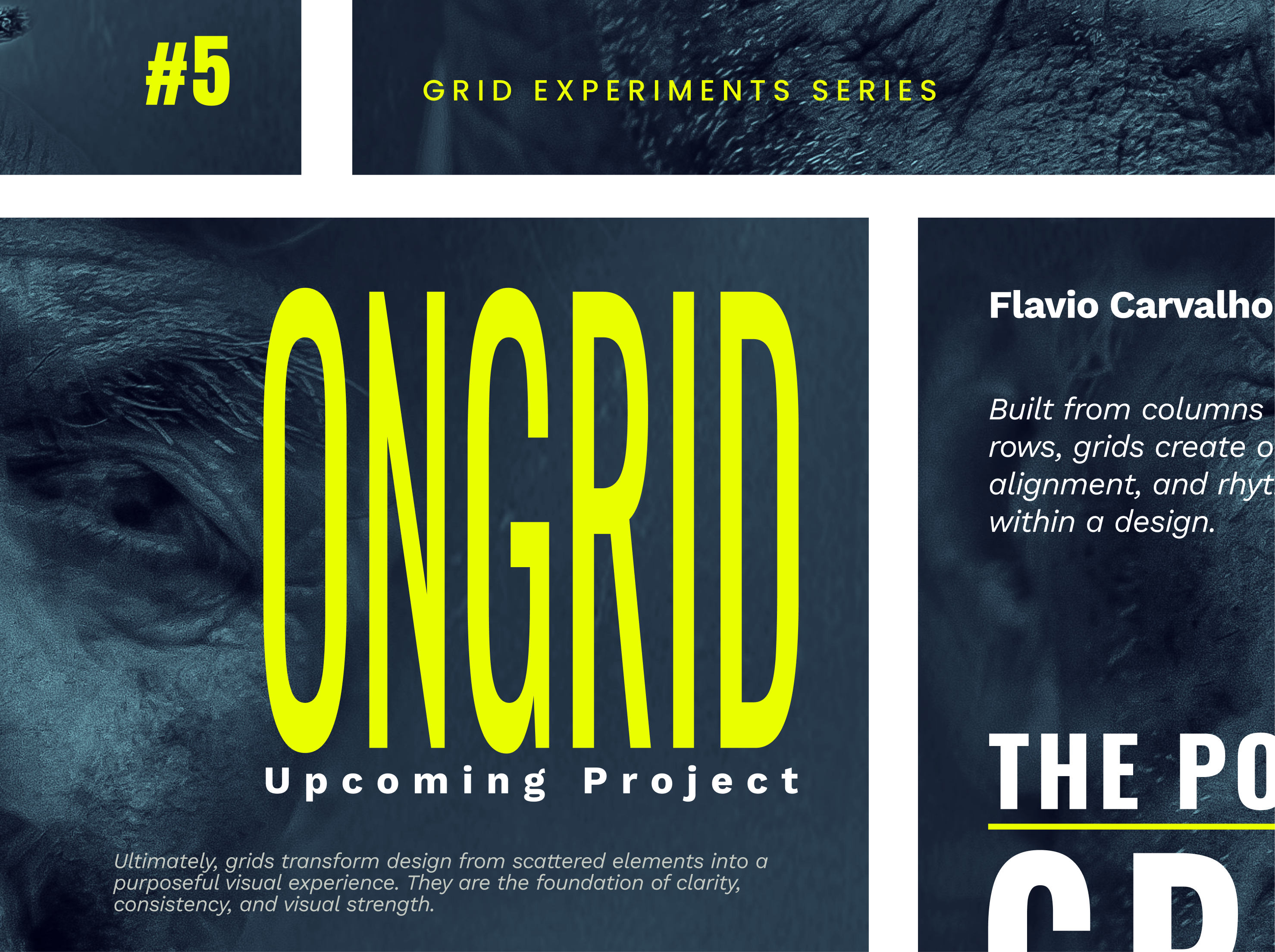 Grid Exploration - 05/08 grid layout poster typeface typography ui webdesign