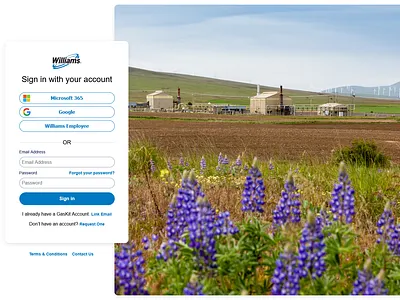Wiliams B2C Login Flow b2b enterprise sso ui web design