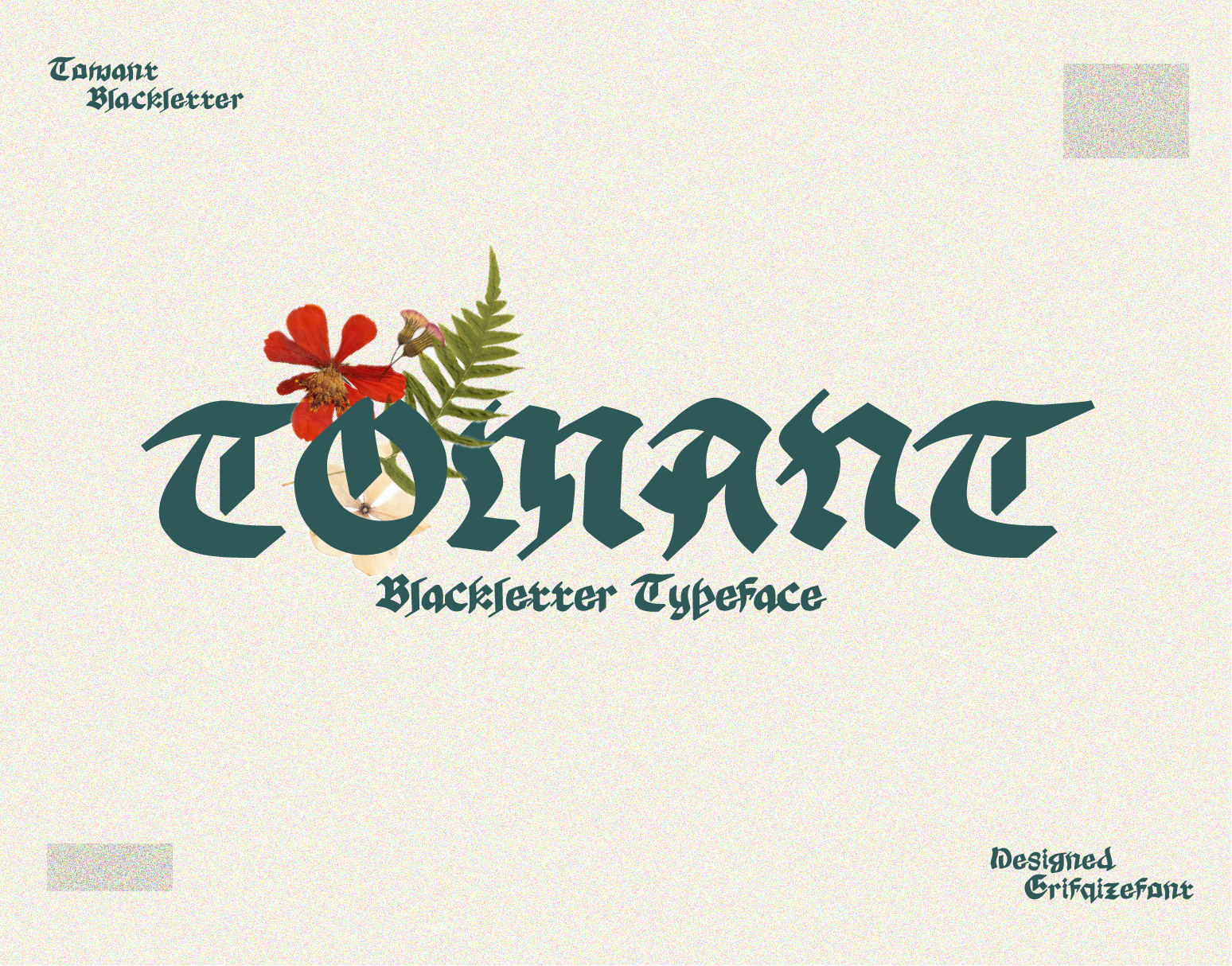 Tomant Blackletter Font apparel font blackletter font bold font branding font calligraphy font classic font decorative font display font european font gothic font historical font logo font medieval font music font old english font ornamental font streetwear font tattoo font traditional font vintage font