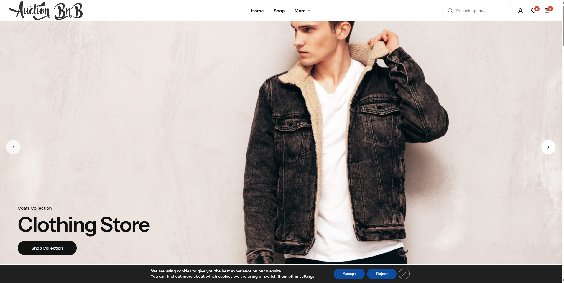 Example of Website Design