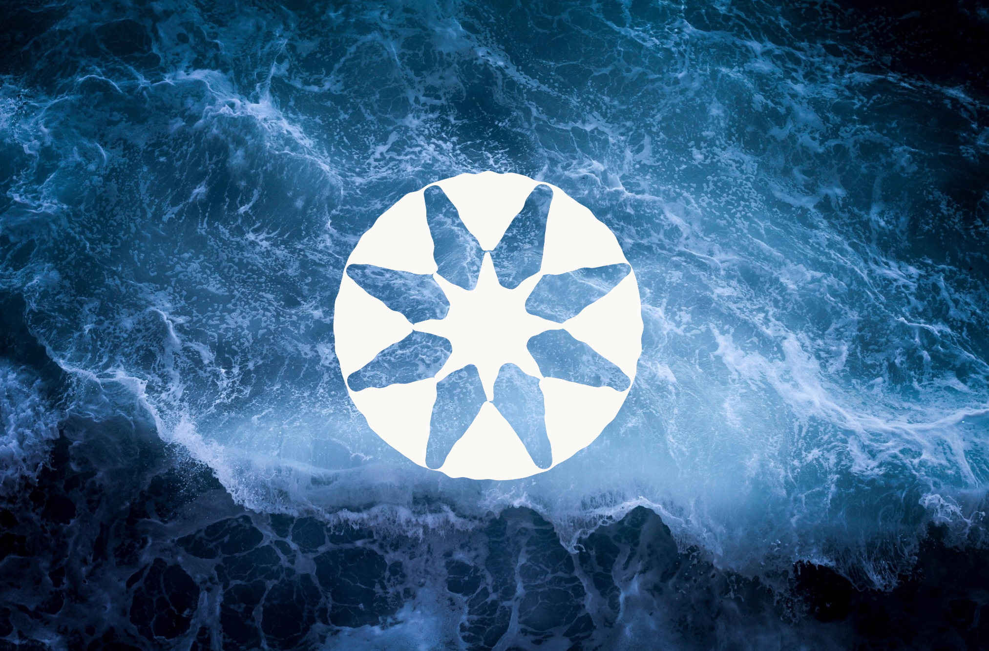 Brand Design for Clarity Coach branding design graphic design illustration