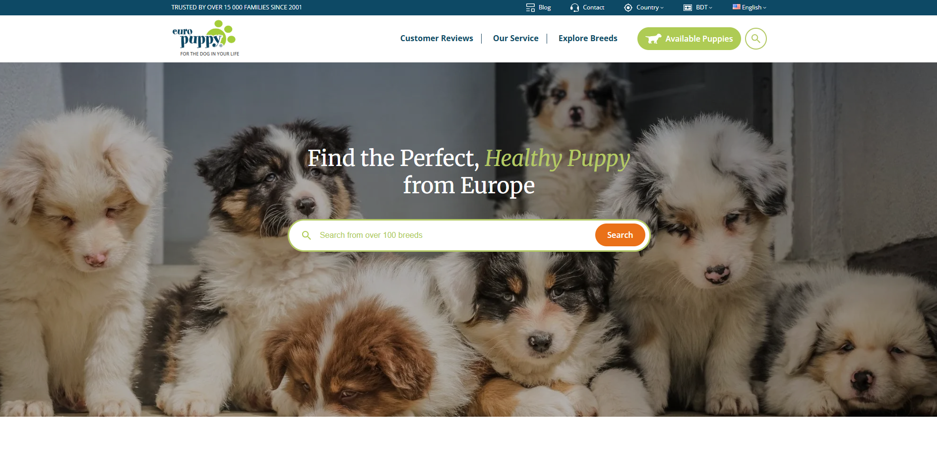 Example of Modern Website Design & Development
