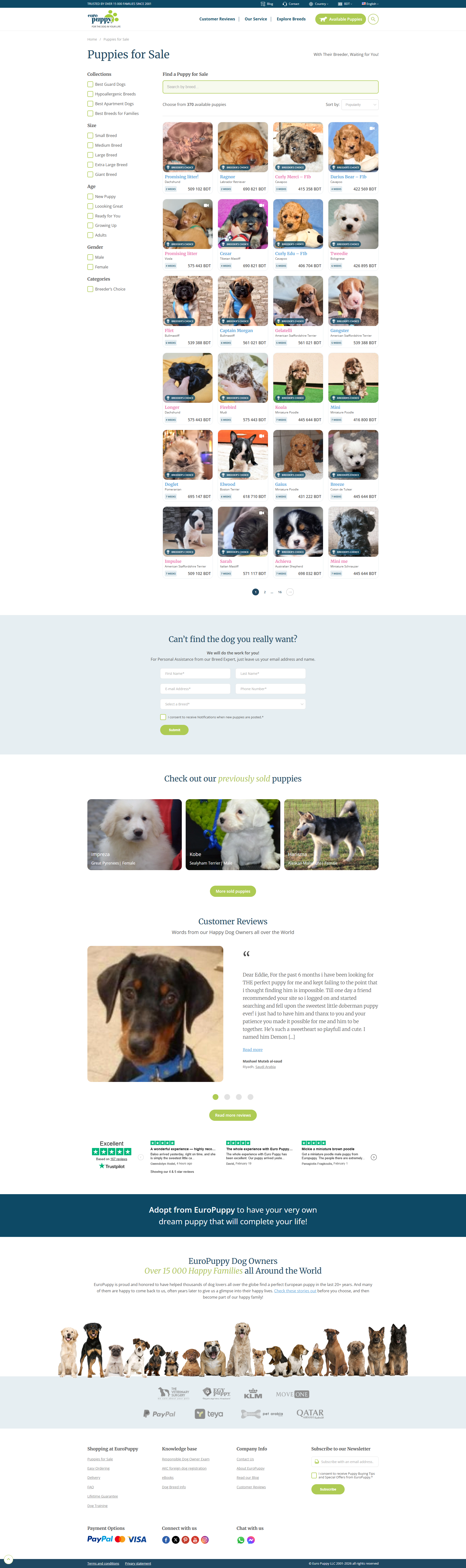 Example of Modern Website Design & Development