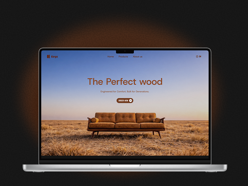 Landing page for Furniture Website brown landing page ui uiux ux