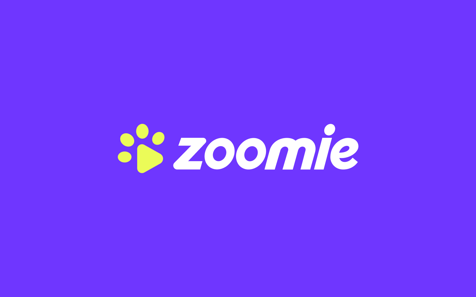 Zoomie • Brand Development brand development branding creative agency creative direction creative strategy design graphic design logo ui