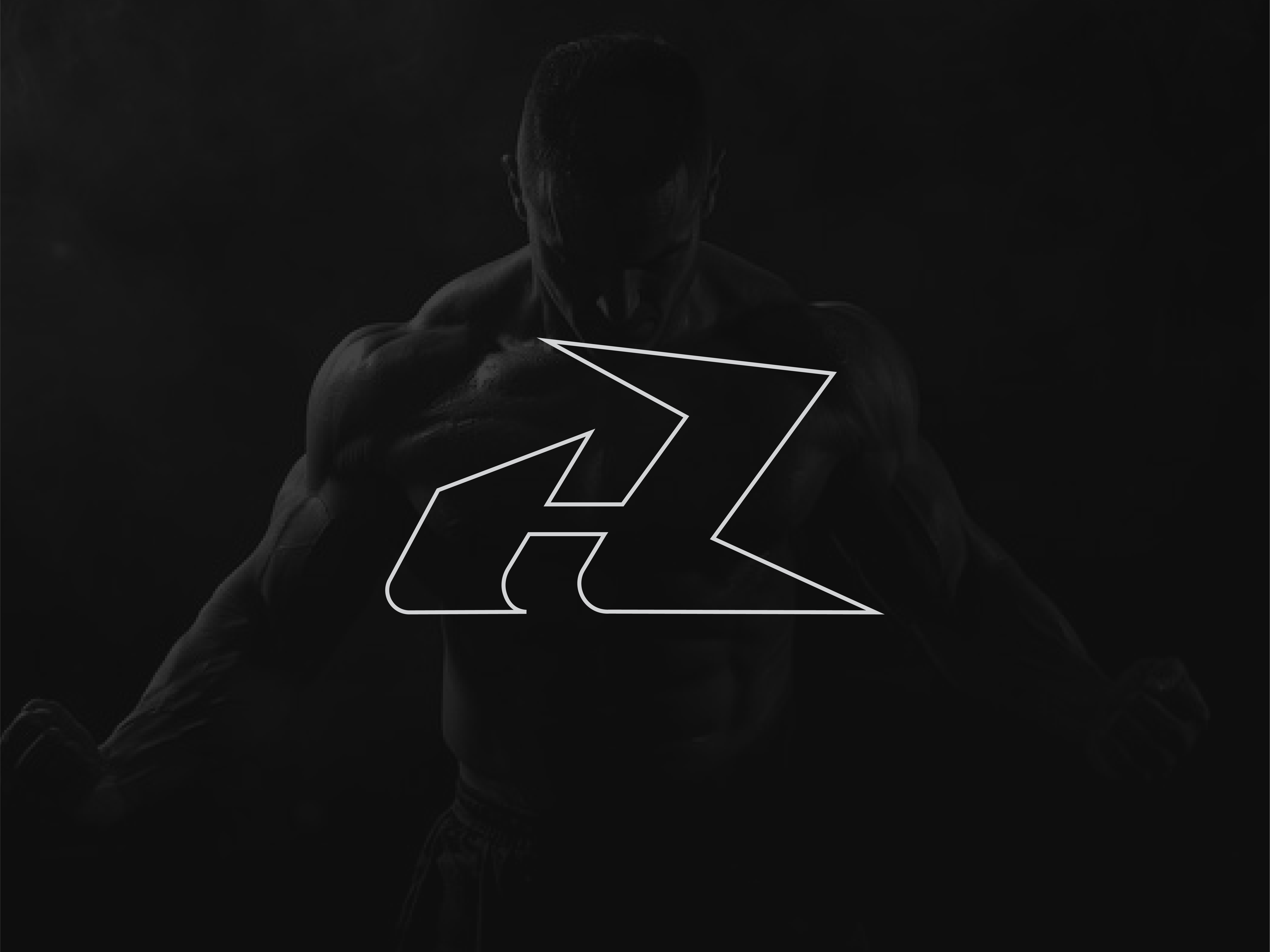 Example of Professional Logo &Brand Guideline $1999