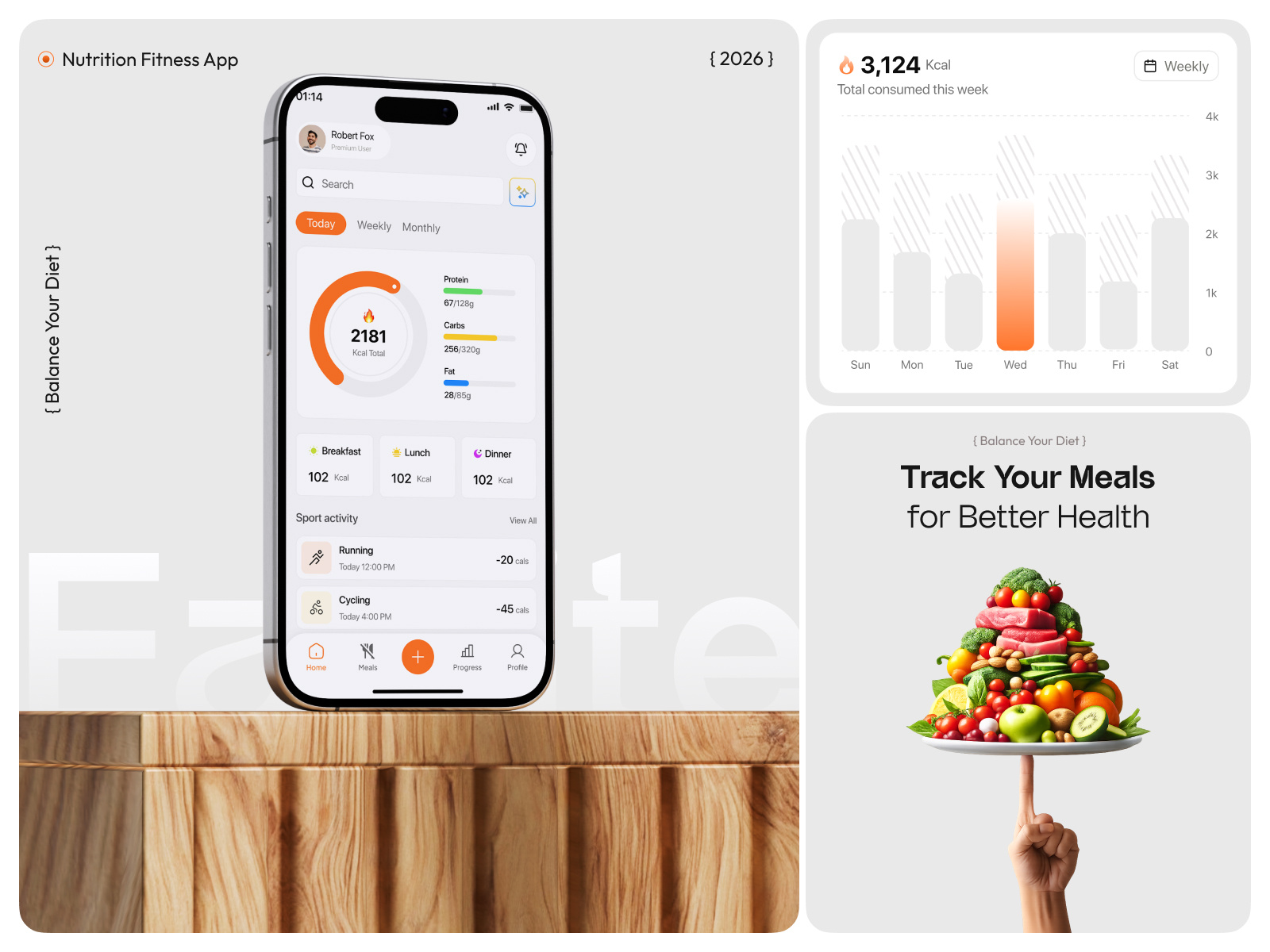 Example of Nutrition Tracking Mobile App Concept